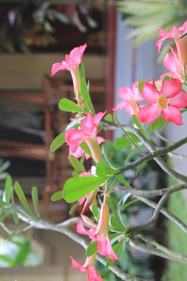Secret Garden Sky Hotel Ubud  Luaran gambar